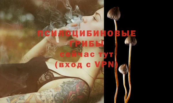бутират Покачи