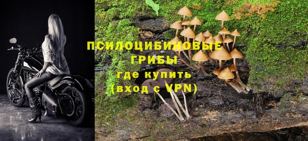 бутират Покачи