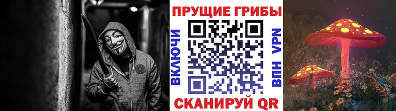 mega ТОР Сим это официальный сайт Псилоцибиновые грибы Magic Shrooms